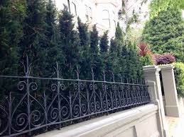 Outdoor Artificial Trees Can Solve
