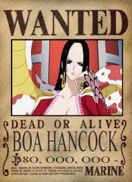 This should be usopp's wanted poster because he's the captain! 34 One Piece Charakter Ideen One Piece Charaktere One Piece Steckbrief Steckbrief