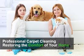 karpet kleen carpet cleaning kansas