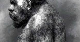 Cloning Neanderthals: Not a Pipedream - CBS News