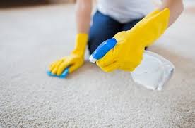 carpet cleaning pros vs diy cleaning