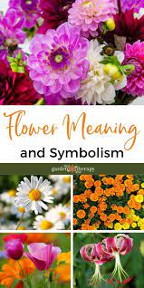 We did not find results for: What S Up With A Bouquet Flower Meaning And Symbolism Garden Therapy