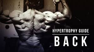 back hypertrophy guide by mike