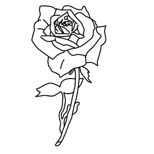 High quality free printable pdf coloring, drawing, painting pages and books for adults. Free Printable Roses Coloring Pages For Kids
