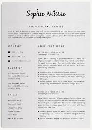 Professional Resume Template By Creativelab On