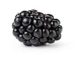 top 10 health benefits of blackberries