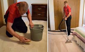 carpet cleaning process