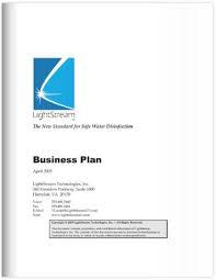 Professional Business Plan Examples Cayenne Consulting