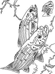 Fishing decals on a boat is a quick way to customize a boat and give it some character. Bass Fish Coloring Pages Download And Print Bass Fish Coloring Pages