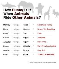 How Funny Is It When Animals Ride Other Animals The Chart