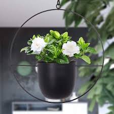 Metal Flower Basket Decor Hanging Plant