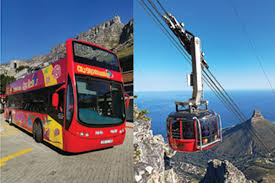 1 day cape town tour and table mountain