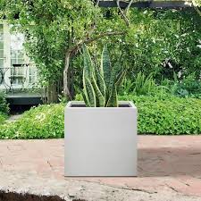 White Concrete Plant Pot