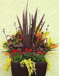 Fall Container Plants Container