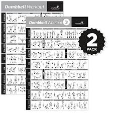 Vol 1 2 Dumbbell Exercise Poster 2 Pack Laminated Workout Strength Training Chart Build Muscle Tone Tighten Home Gym Weight Lifting Body