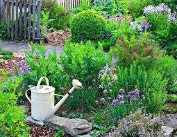 An Herb Garden Helps A Home