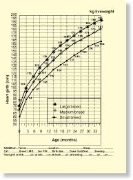 2 Chart Of Heifer Growth Download Scientific Diagram