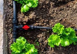 How To Install A Drip Irrigation System