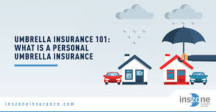 Umbrella Insurance 101: What is a Personal Umbrella Insurance? - Inszone  Insurance