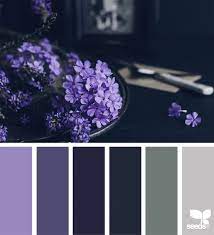 how to use purple in your design