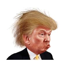Image result for donald trump clipart