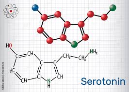 serotonin molecule is a monoamine