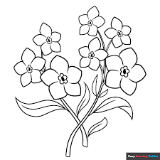 forget me not flowers coloring page
