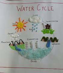 Watercycle Chart 3d Pompom Cottonballs Paperfrills