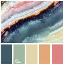palette scout the search for salmon
