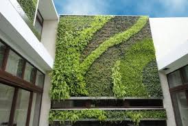 Green Walls And Vertical Gardens
