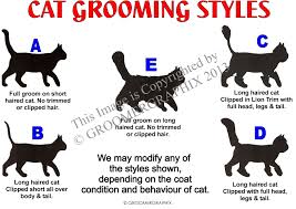 Cat Style Chart
