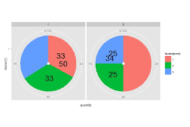 R Ggplot2 Add Labels On Facet Pie Chart Stack Overflow
