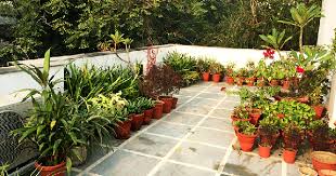 want to make a mini garden on terrace