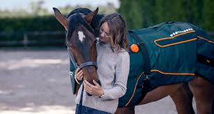 The horse blanket is the core element of the Horse-Set – BEMER Group
