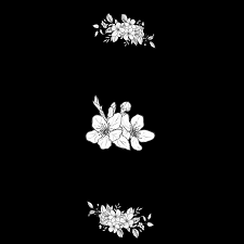 white flowers black happy love rose