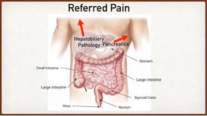 upper right abdominal pain symptoms