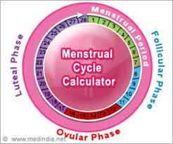 Women U S Menstrual Cycle And Pregnancy Chart Www