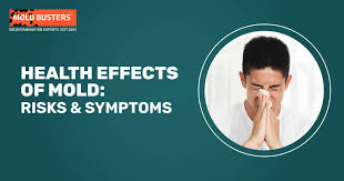 Health Effects Of Mold Risks