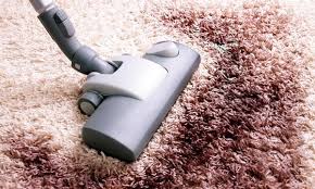 rotowizard carpet cleaning toledo oh