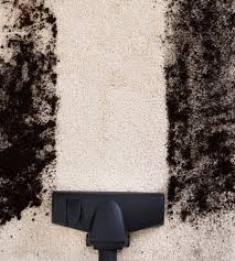 carpet cleaning santa clarita carpet