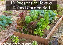 10 Benefits Of Raised Garden Beds And