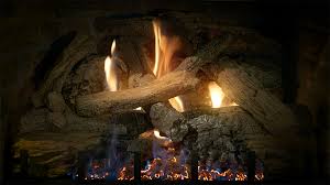 Propane Gas Fireplaces And Log Sets