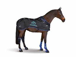 gear guide equestrian reviews