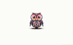 100 cute owl wallpapers wallpapers com