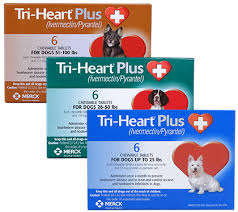 Tri Heart Plus Save On Heartgard Plus Generic 1800petmeds