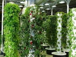 Homemade Garden Tower Ideas For