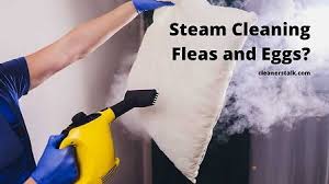 does steam cleaning kill fleas and