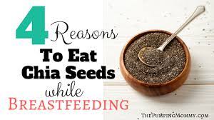 eat chia seeds while tfeeding
