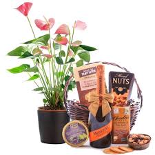 anthurium and gift basket send and
