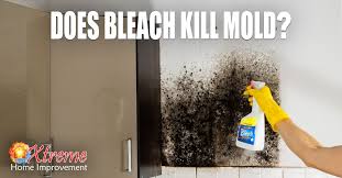 does bleach kill mold xtreme home